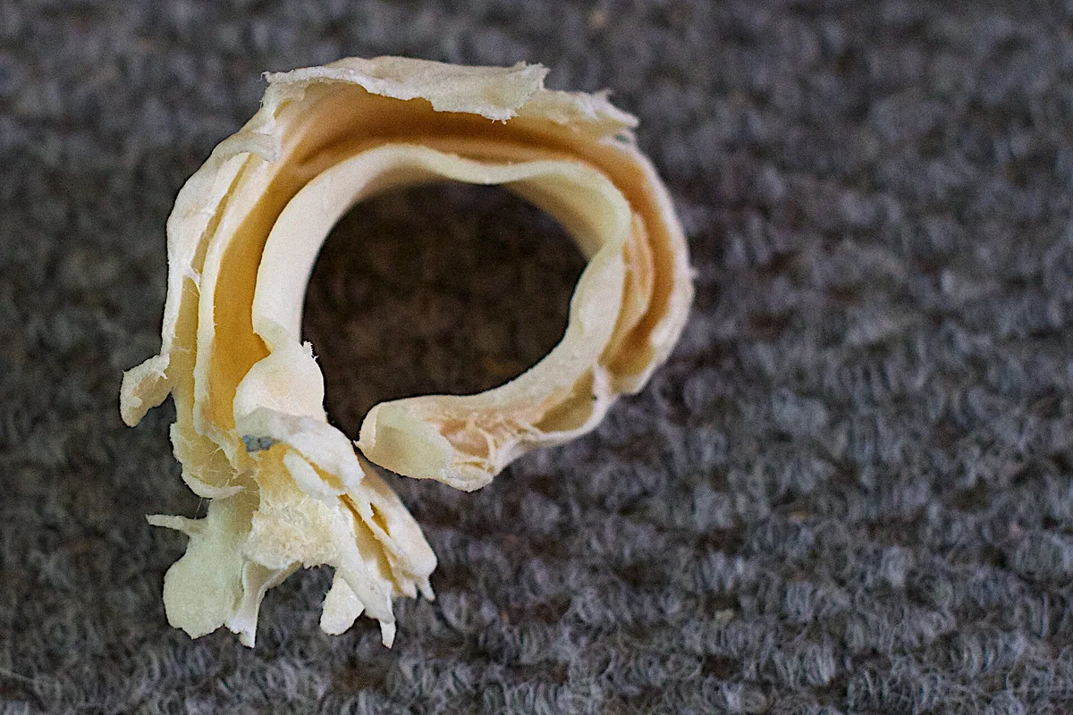 Dental Chew Ring