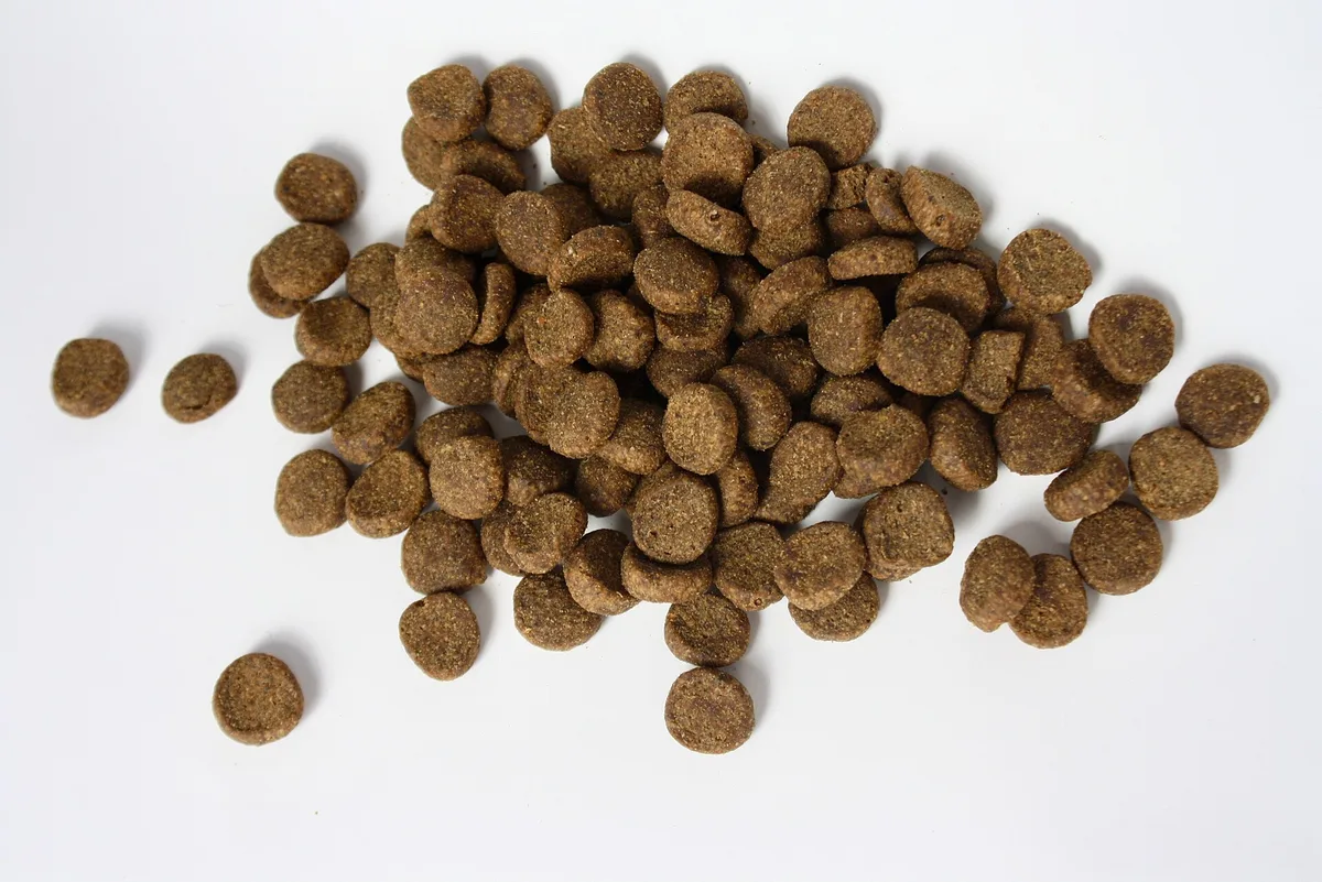 Cat Treats